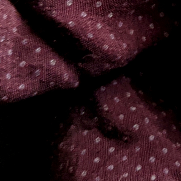 🍂2/30🍂 GARAGE maroon skirt w/ white polka dots & button accent - Picture 3 of 4